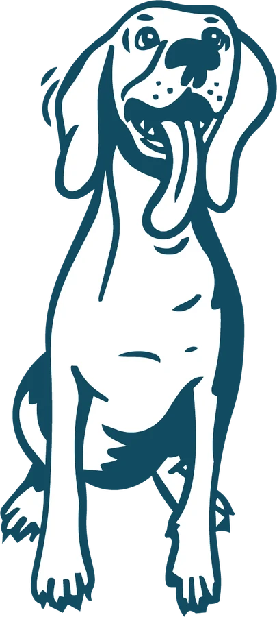 Illustration of Bonnie